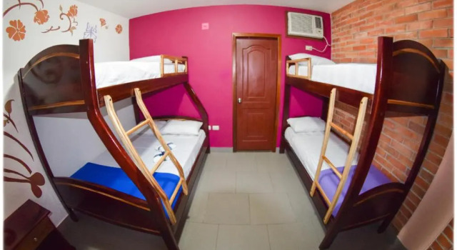 Номер Economy Hotel Olympus