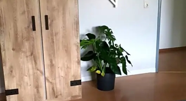 Апартаменты Dithmarscher Haus