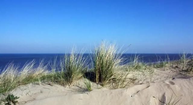 Шале Chalet in Noordwijk Near North Sea Beach