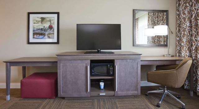 Четырёхместный номер Standard Hampton Inn Minneapolis-Roseville,MN