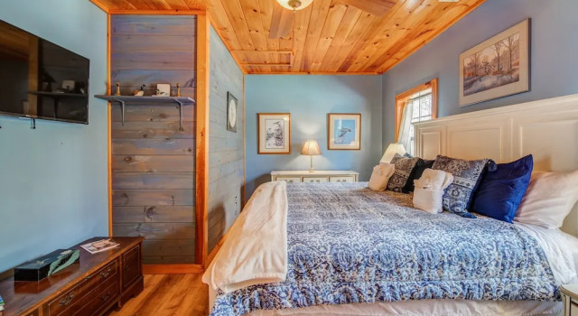 Blueridge Retreat Private 4 BDR Cabin Sleeps 10!
