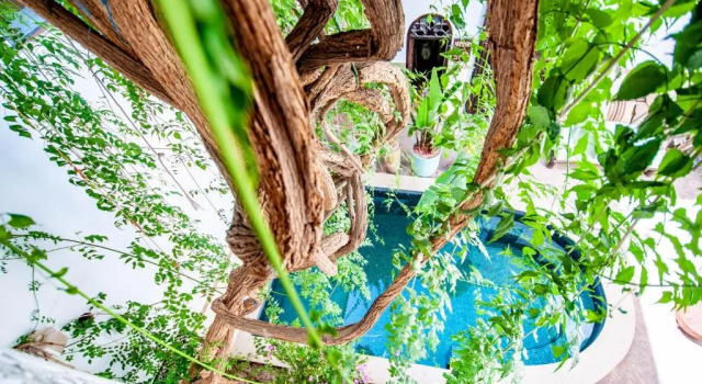 Номер Standard Hotel & Spa Riad Dar El Aila
