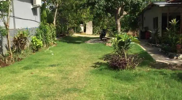 100 Percent Balangan Guesthouse, Book Hotel Hotels in Bingin Beach with a Pool, Swimming Pool