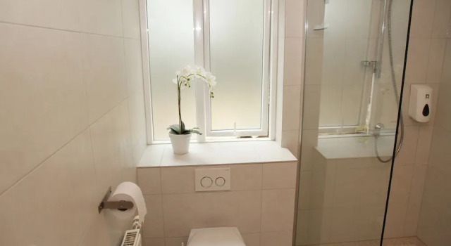 Номер Standard Olga Guesthouse