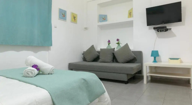 Апартаменты c 1 комнатой с балконом Hacarmel Apartment