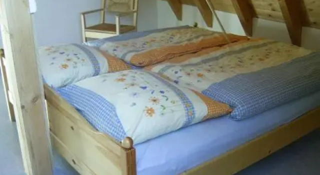 Hinterhauensteinhof, Reserva ahora Hotel Hoteles en Baden-Wurtemberg con aparcamiento, Aparcamiento