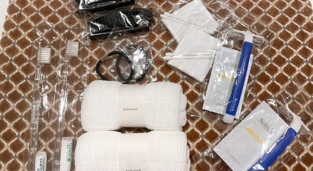 Номер Standard Odysis Suites Osaka Airport Hotel