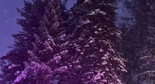 Li San Homestay (Snow Town Scenic Area), Varaa Hotelli Mudanjiang Heilongjiang