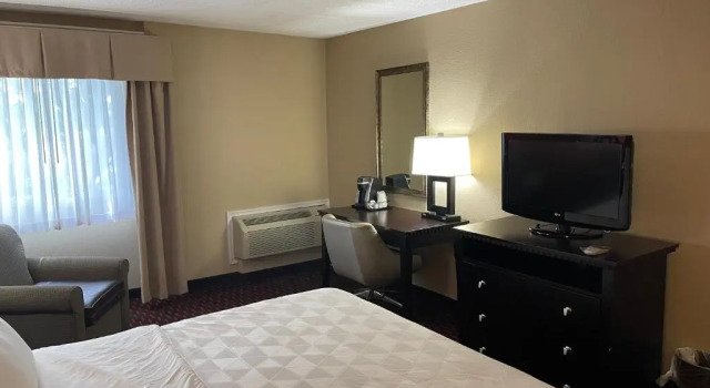 Номер Standard Wyndham Garden Dover