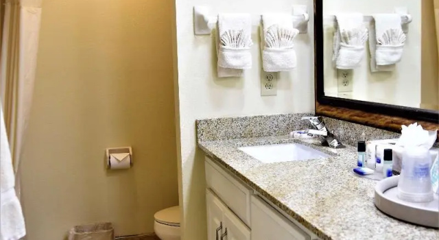 Номер Standard Best Western Spring Hill Inn & Suites