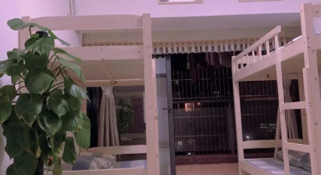 Кровать в общем номере (мужской номер) Free Space Youth Hostel