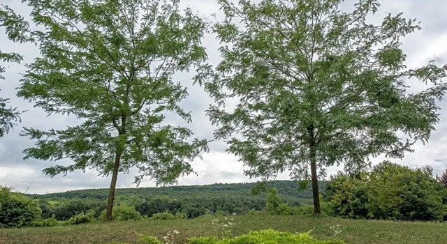 Студия Petneházy Aparthotel