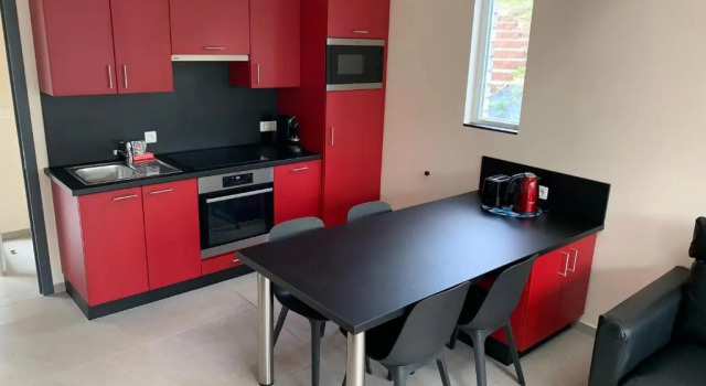 Апартаменты Terrasses de Malmedy Connecto Duplex 435 & 436 en Studio 336