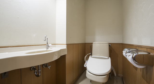 Номер Standard APA Hotel & Resort Kaga Katayamazu Onsen Kasuikyo
