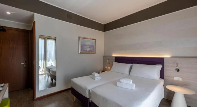 Двухместный номер Standard с балконом Hotel Imperial ***S