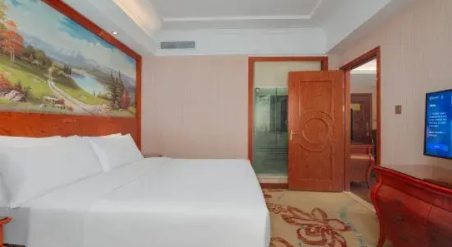 Люкс Standard Vienna Hotel Longchuan