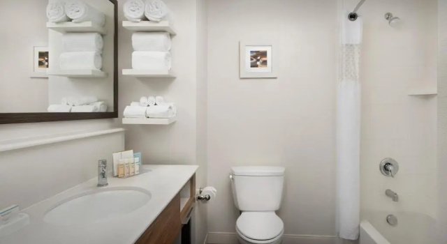 Номер Standard Hampton Inn & Suites Phoenix/Tempe