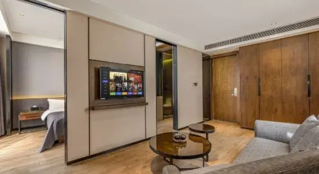 Двухместный люкс Business Aoyi Hotel