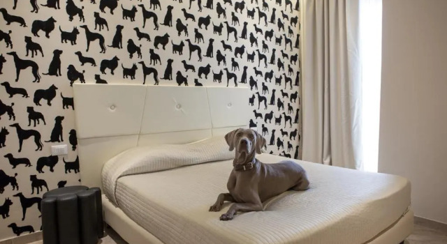 Двухместный номер Standard Hotel Principe