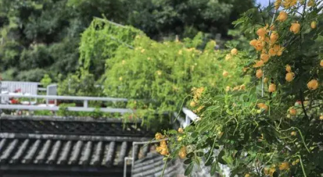 Dali Xubao Courtyard (Nanzhao Style Island Shuanglang Ancient Town Scenic Spot Store)