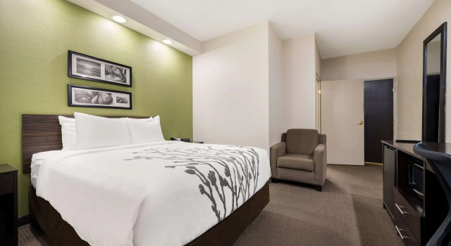 Standard- dobbelt værelse Sleep Inn Athens