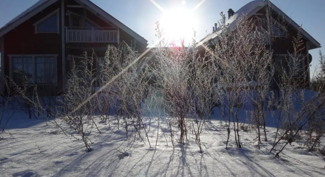 Коттедж Tiiringolf Cottages