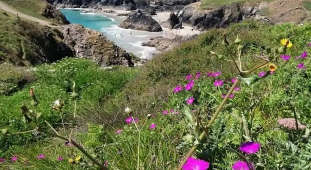 1 Bed Caravan Sleeps 2 - Parking, Garden, Pets, Reservar Hotel Mullion 
