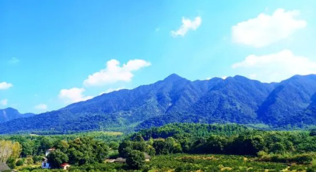 one house one life Homestay