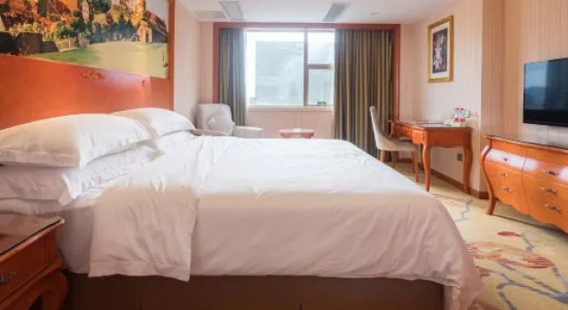 Люкс Business Vienna International Hotel (Shenzhen Bantian Yangmei Metro Station)