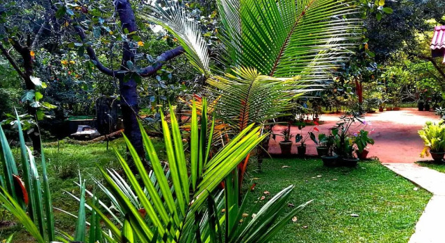 Номер Standard Nethmi Homestay