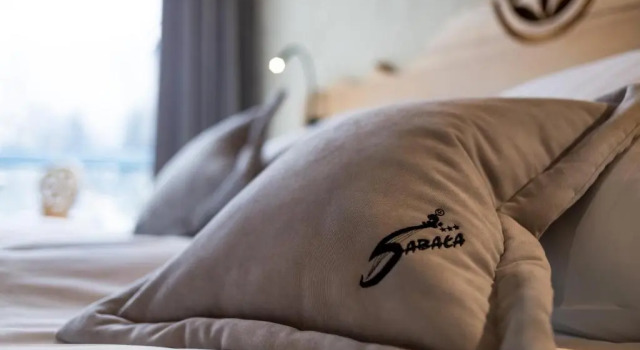 Двухместный номер Economy Hotel Sabała