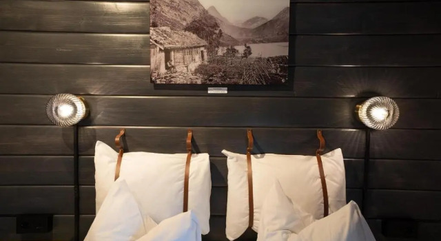 Коттедж Premium c 1 комнатой Geirangerfjorden Feriesenter