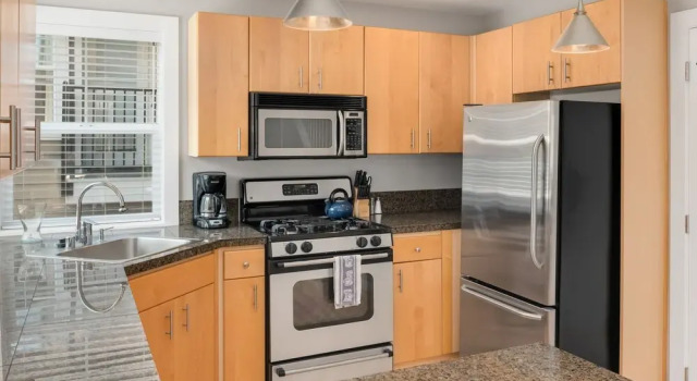 Seattle Vacation Home - The Olympics