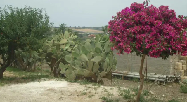 B&B Rosa dei Venti