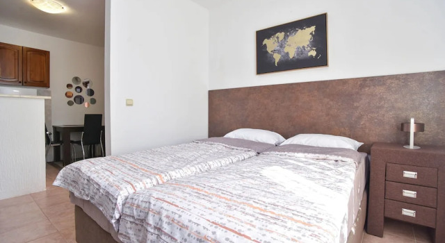 Студия Classic Branka Apartments