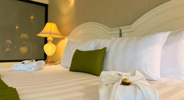 Люкс Excelaris Grand Resort Conventions & Spa
