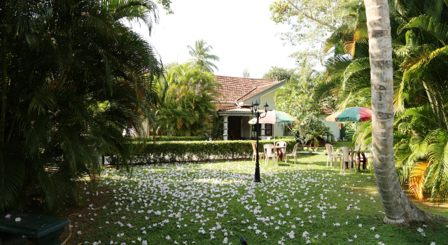 Villa Araliya