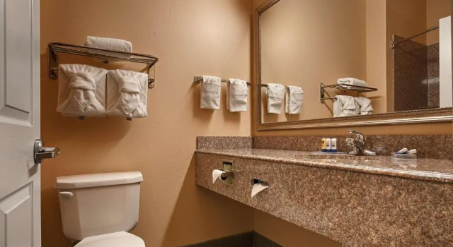 Номер Standard Best Western Plus New Caney Inn & Suites