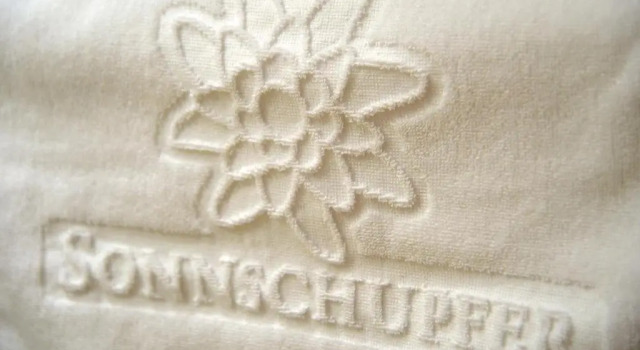 Номер Standard Hotel Sonnschupfer
