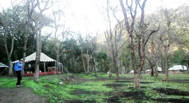 Camp Leopard Heights, Rezervovat Hotel Byasi Uttarakhand