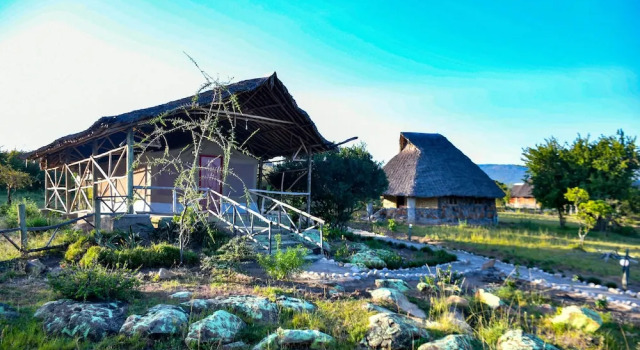 Номер Standard Masai Mara Explore Camp