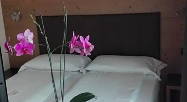 Номер Classic Hotel Silvestri