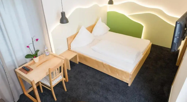 Superior single cameră Hotel Rhönhof