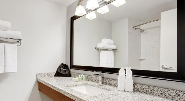 Люкс c 1 комнатой Holiday Inn Ottawa East by IHG
