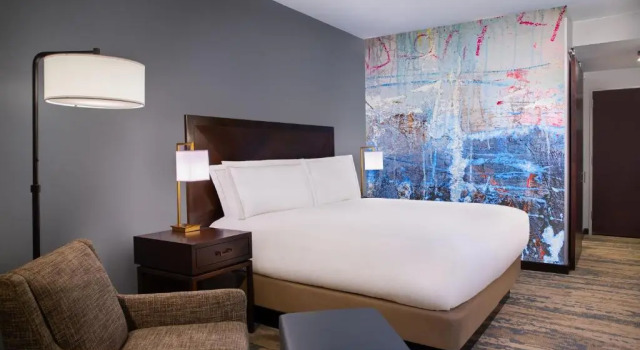 Двухместный номер Accessible Hilton Americas - Houston