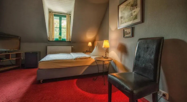 Одноместный номер Standard Hotel zur Henne