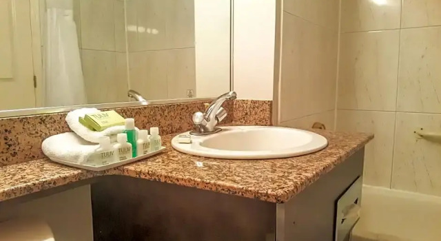 Двухместный номер Standard Rosedale on Robson Suite Hotel