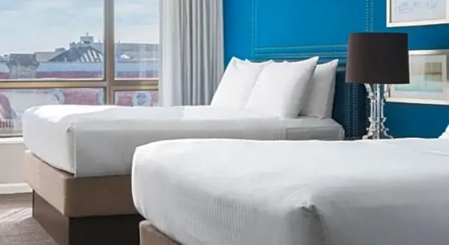Четырёхместный номер Standard The Ven at Embassy Row, Washington, D.C., a Tribute Portfolio Hotel