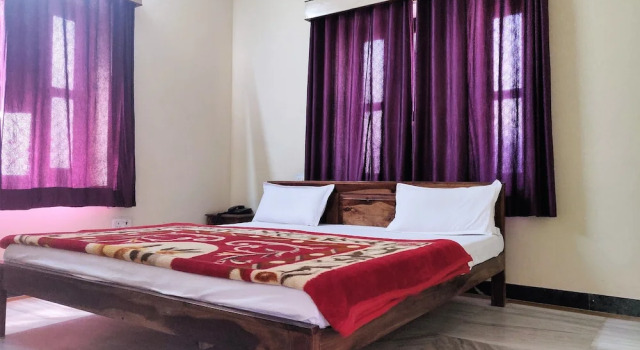 Двухместный номер Royal Hotel Leela Nikunj