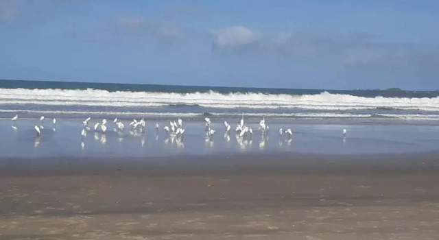 Casa de Praia Ilheus
